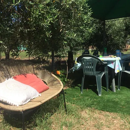 La Casa Delle Rondini 피옴비노
